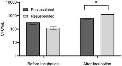 Microencapsulation and in situ incubation methodology for the cultivation of marine bacteria